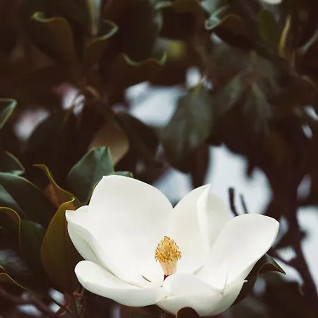 Apartmán Lido Tolón